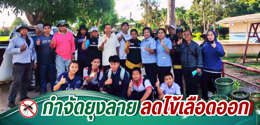 กำจัดยุงลาย ลดไข้เลือดออก